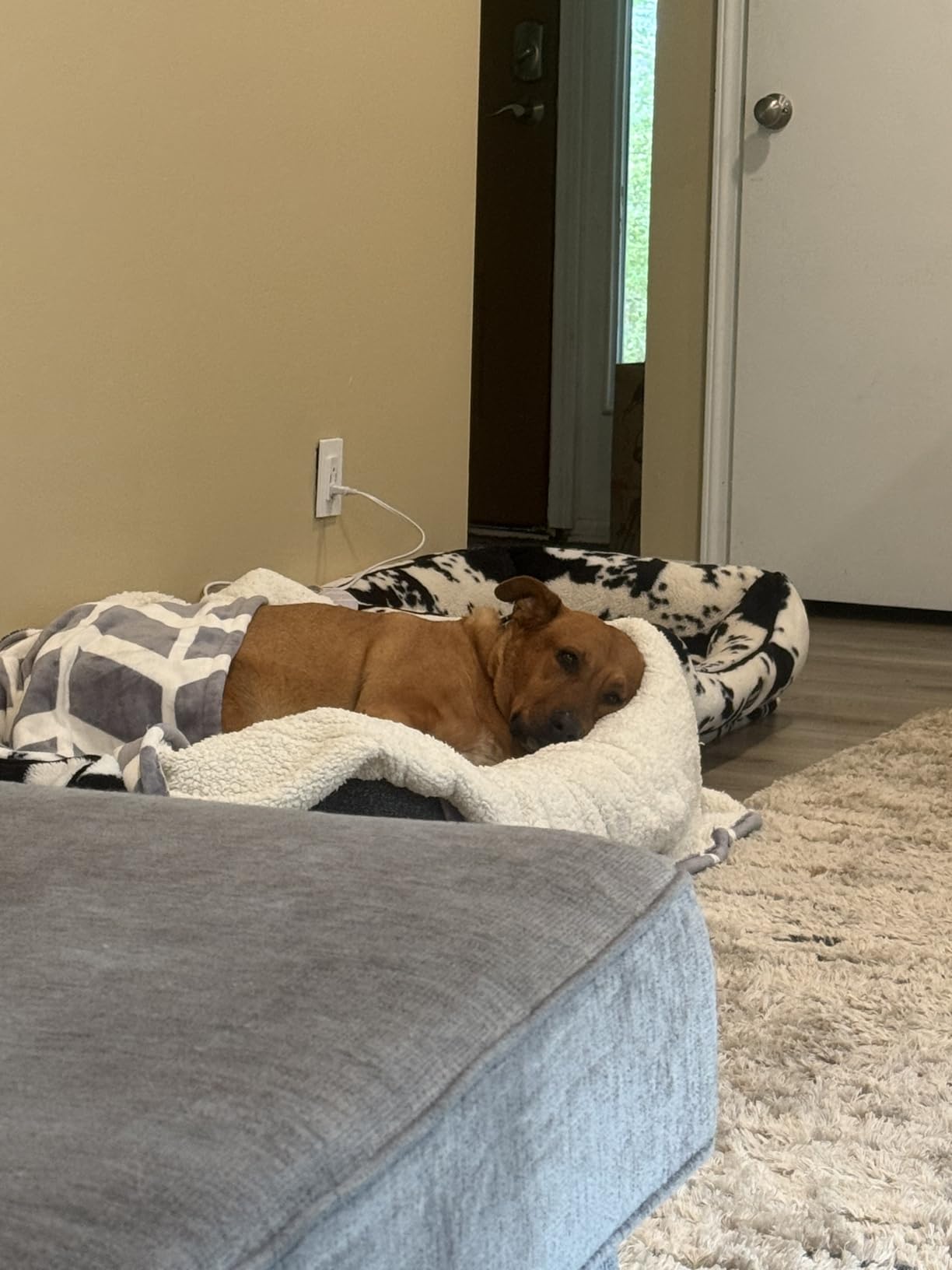 VENTIMI Heated Throw Blanket, 5 Heat Levels & 3 Hours Auto Off, Grey customer photo 1
