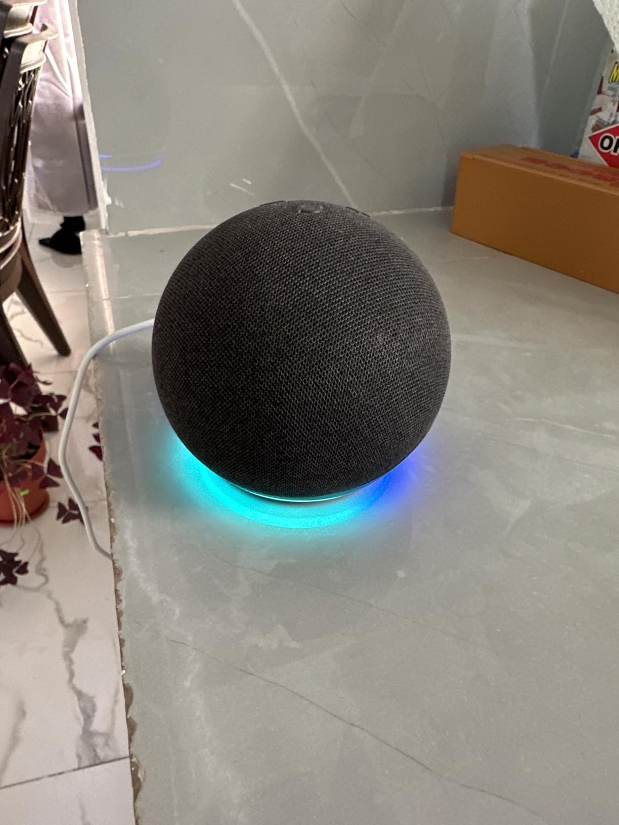 Amazon Echo Dot customer photo 2