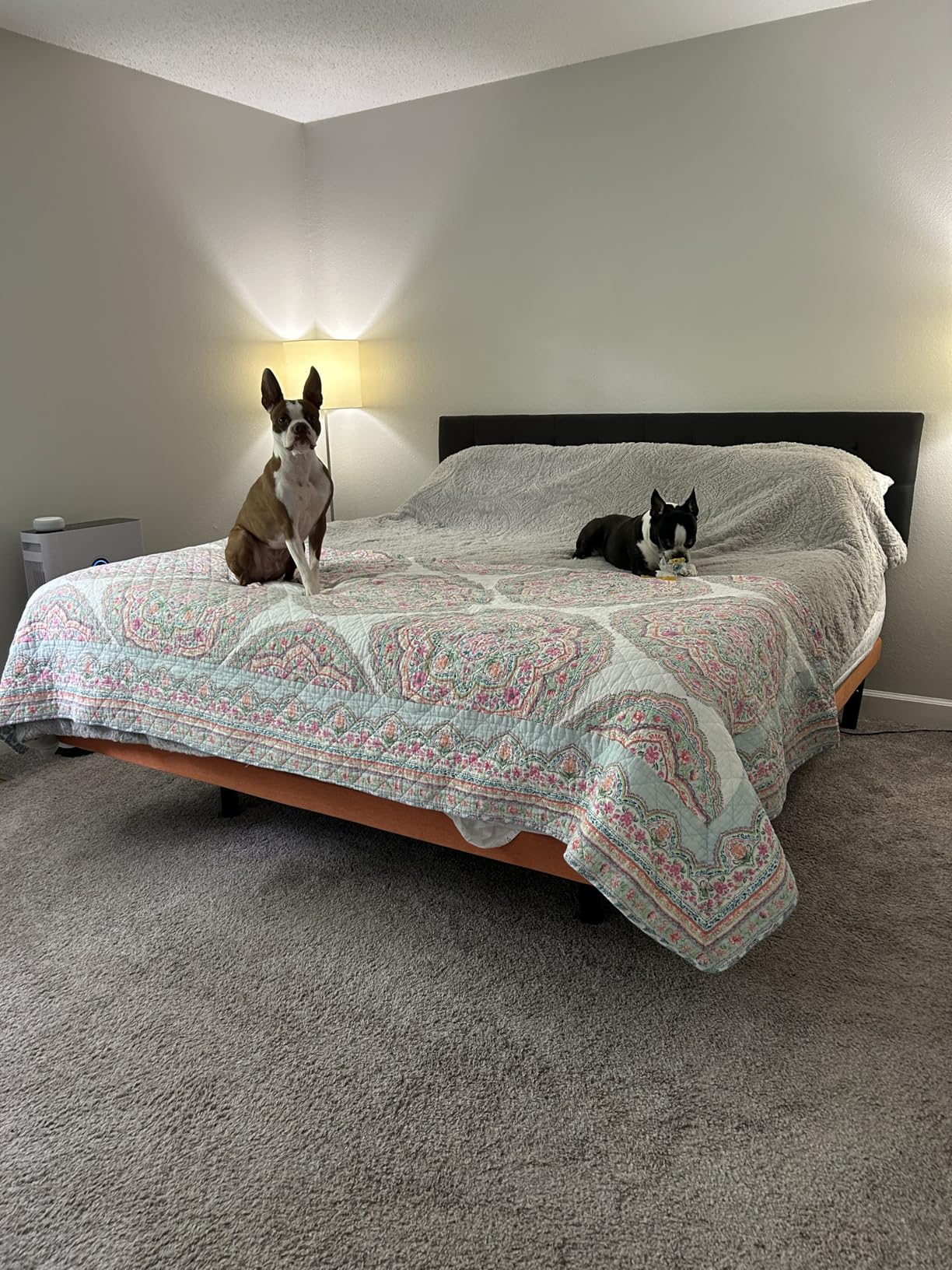 ESHINE Split King Adjustable Bed Frame - Independent Control, Adjustable Bed with Massage, Wireless Remote, Foot&Head Incline, Zero Gravity, Dual USB Ports, Under Bed Light, E3000 Premium Series customer photo 1