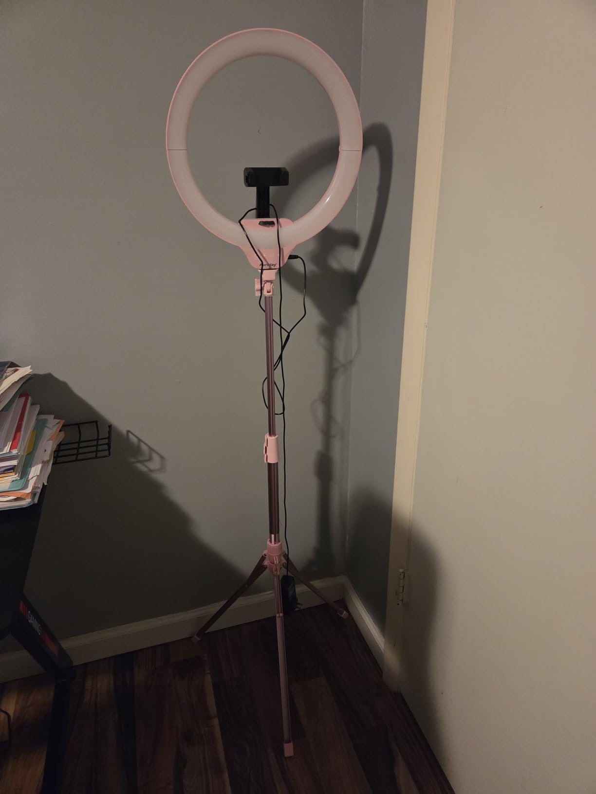 Aureday 14'' Selfie Ring Light with 62'' Tripod Stand and Phone Holder, Dimmable LED Phone Ringlight for Makeup/Video Recording/Photography, Circle Lighting for All Cell Phones&Lightweight Cameras customer photo 1