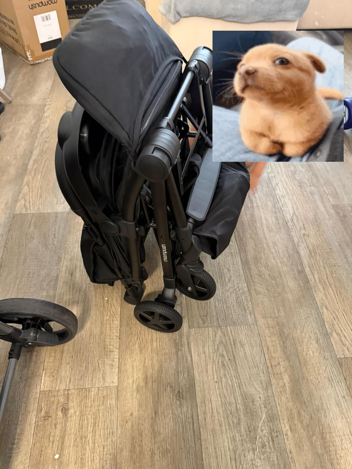 Mompush Lithe V2 Lightweight Travel Stroller, Compact Foldable Baby Stroller with Travel Bag, One-Hand Fold, Airplane-Ready, UPF 50+ Canopy & Rain Cover customer photo 1