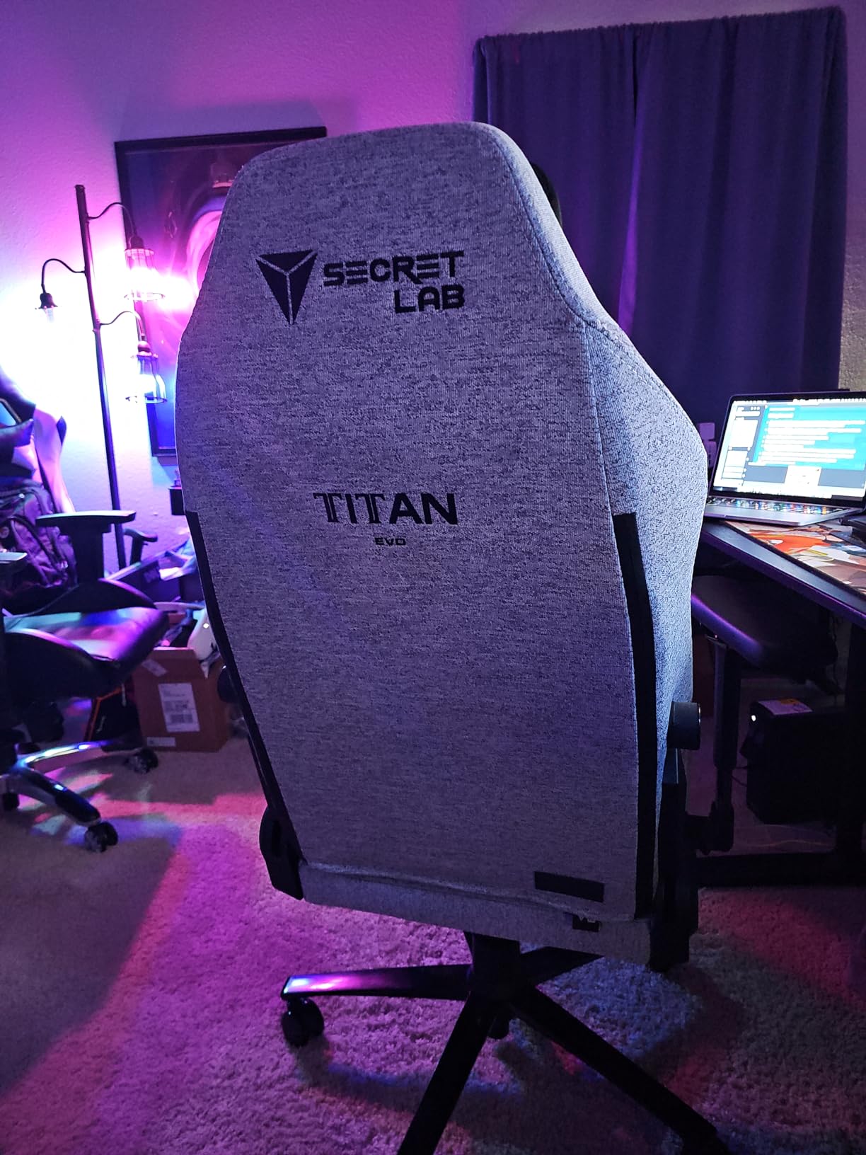 Secretlab Titan Evo Plush Pink Gaming Chair - Reclining - Ergonomic & Comfortable Computer Chair with 4D Armrests - Magnetic Head Pillow & 4-Way Lumbar Support - Small - Pink - Fabric customer photo 2
