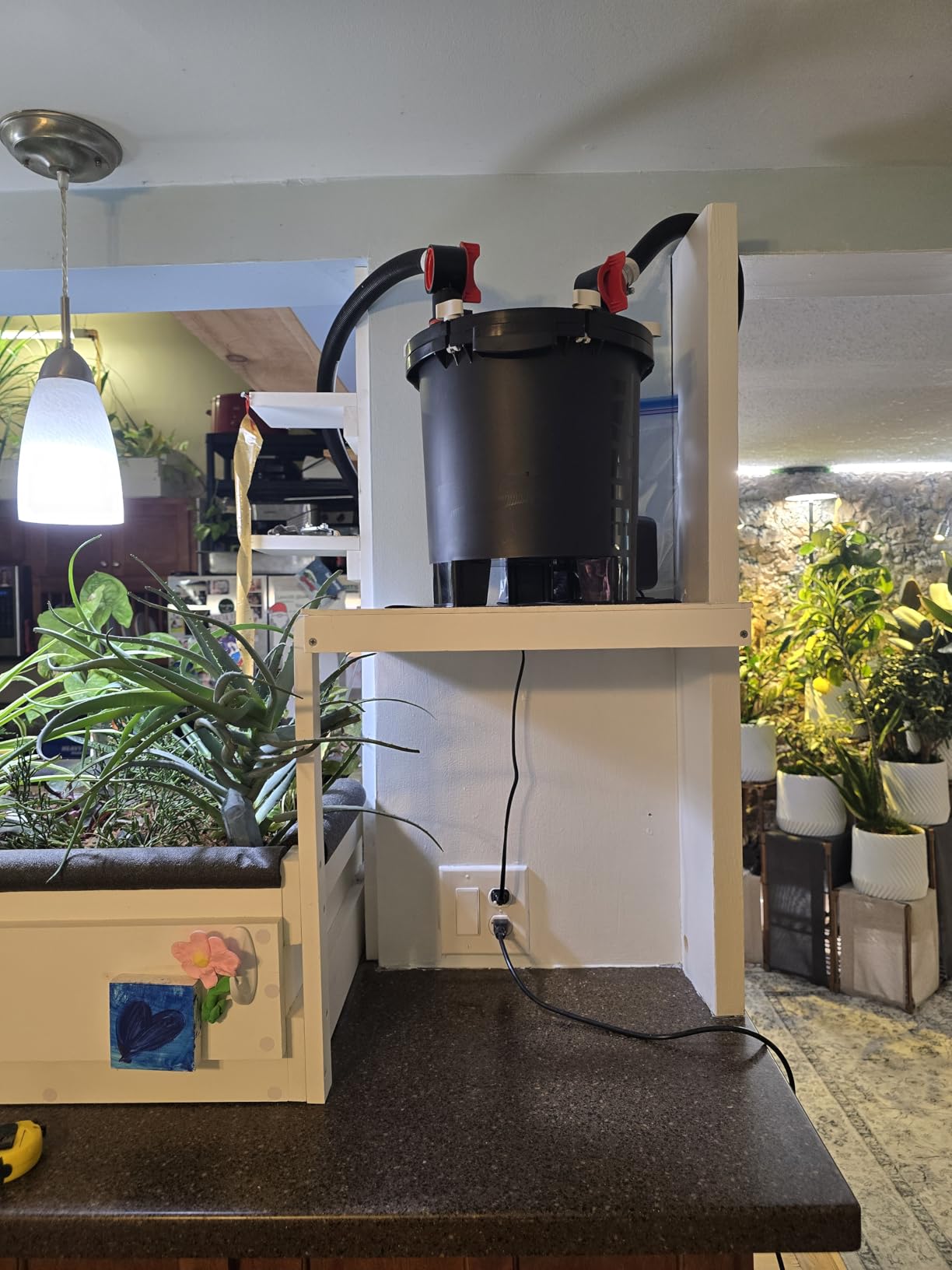Fluval FX2 High Performance Canister Aquarium Filter - Multi-Stage Filtration with Basket-in-Basket Tray Design customer photo 1
