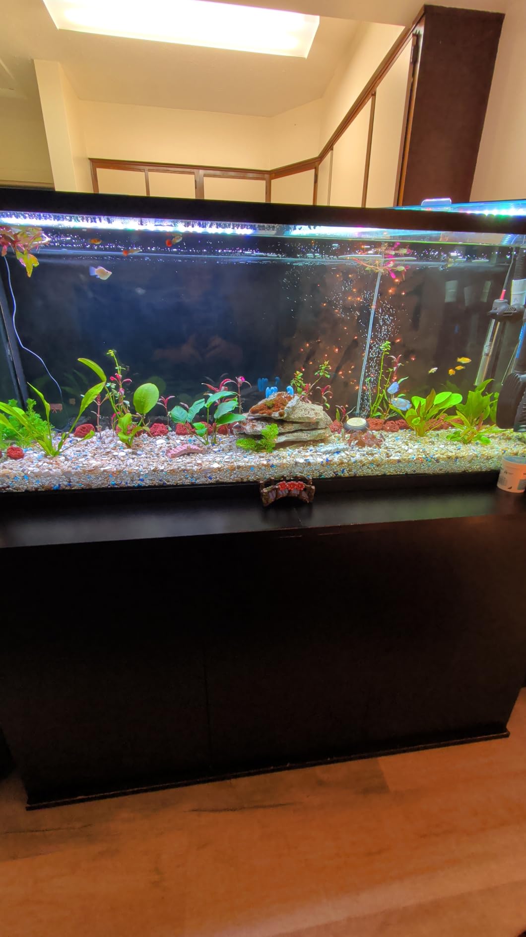 Fluval FX2 High Performance Canister Aquarium Filter - Multi-Stage Filtration with Basket-in-Basket Tray Design customer photo 2