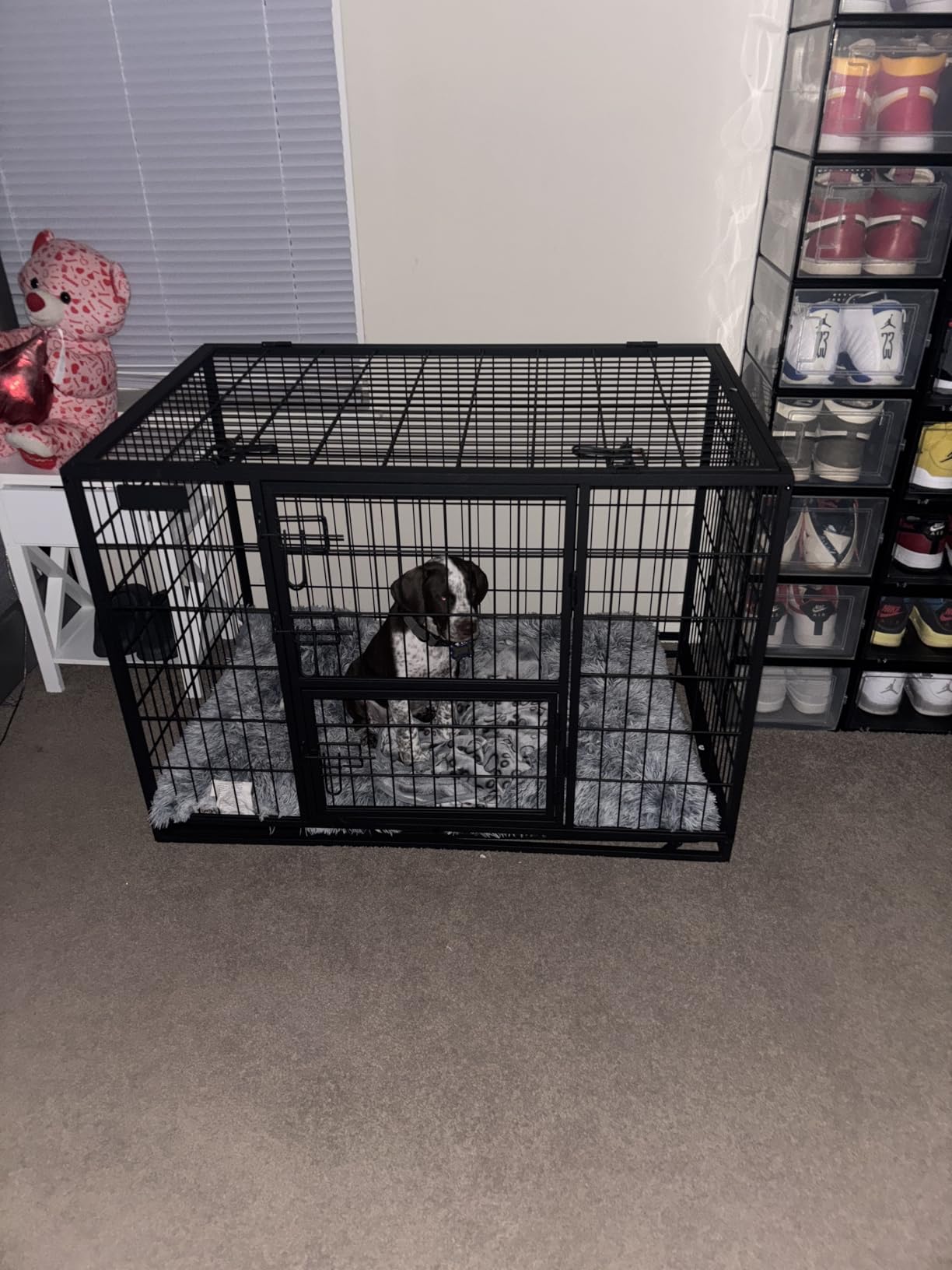Feandrea 36.4 Inch Heavy Duty Dog Crate, Metal Escape Proof Kennel with Double Doors and Convenient Feeding Door, Removable Tray, Easy to Clean, L Pet Crate for Medium and Small Dogs, Black customer photo 1