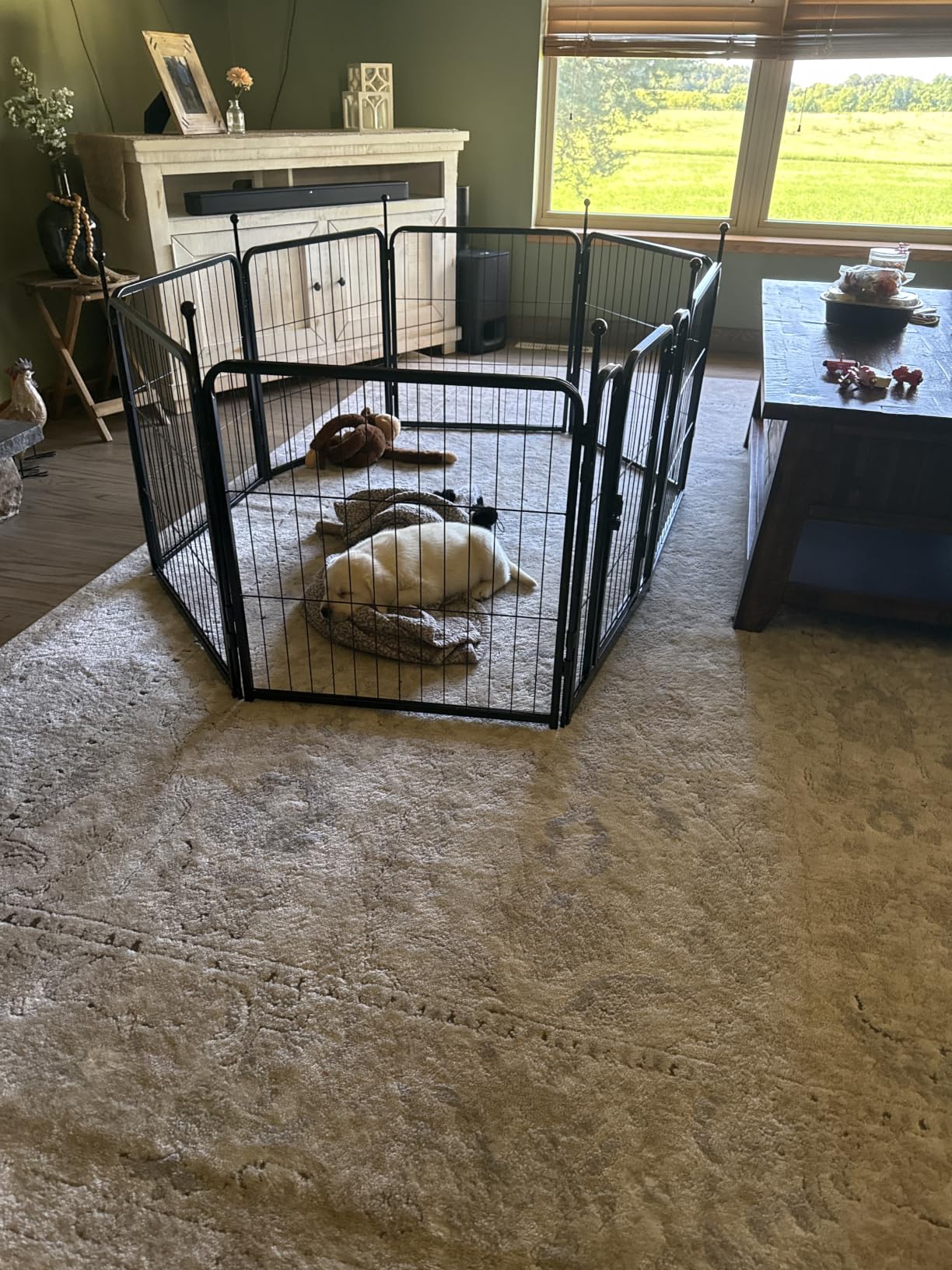 FXW Rollick Unleashed Dog Playpen for Indoor, Yard, RV Camping, 24 inch 8 Panels for Small and Puppy Dogs, Black customer photo 2
