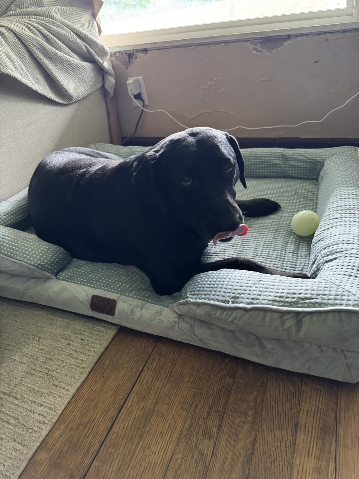 Bedsure Orthopedic XL Dog Bed Extra Large with Removable Washable Cover | 42
