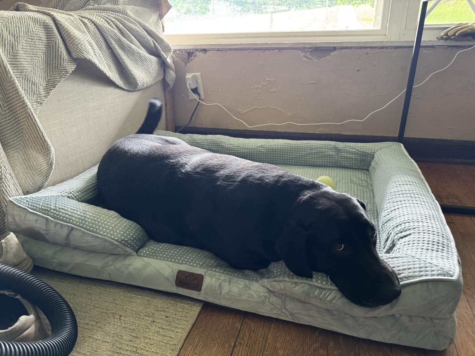 Bedsure Orthopedic XL Dog Bed Extra Large with Removable Washable Cover | 42