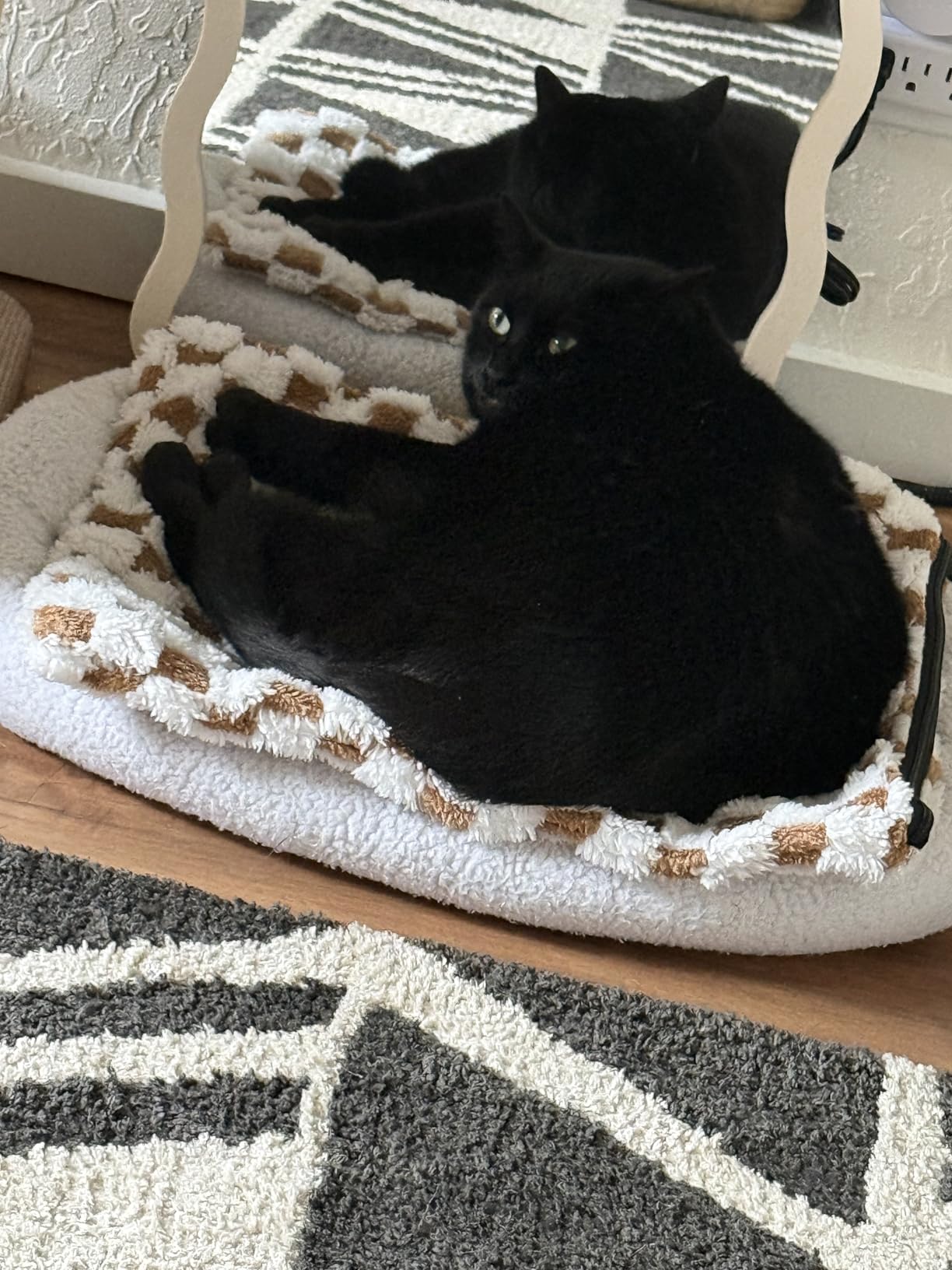MIXJOY Heated Cat Bed, 11 Adjustable Temperature Cat Heating Pad Indoor with Timer, Pet Heating Pads for Cats Dogs, Electric Dog Heating Pad with Washable Cover, Heated Pet bed-18''x16'', Small customer photo 1