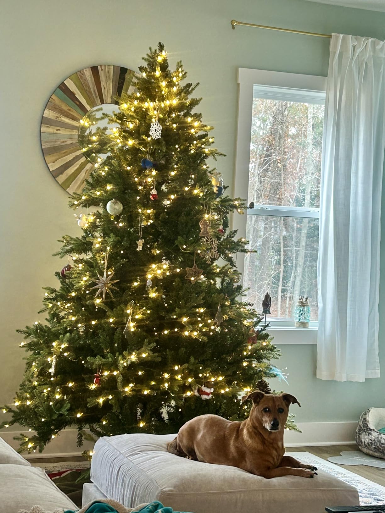 Naomi Home Cynthia 7.5ft Prelit Artificial Christmas Tree with 3661 Branch Tips, 800 Warm Lights and Metal Stand, 60
