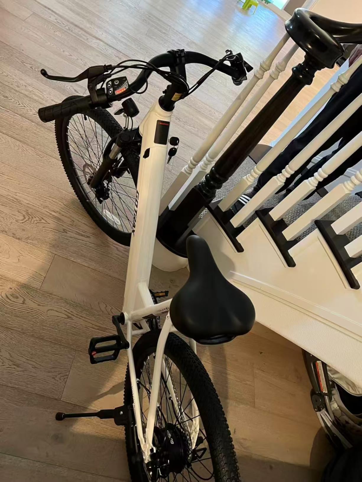 Gotrax Dolphin 26