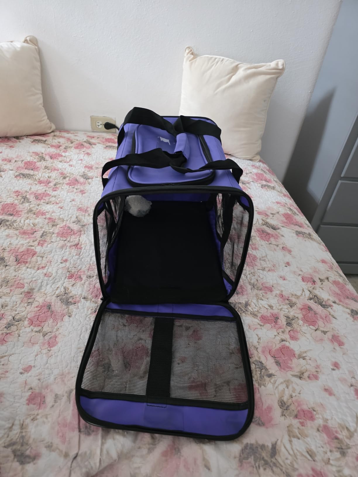 Conlun Cat Carrier Airline Approved, Soft-Sided Dog Carrier with Inner Safety Leash, Pet Transport Carrier for Small-Medium Cats Puppies up to 15 Lbs customer photo 2