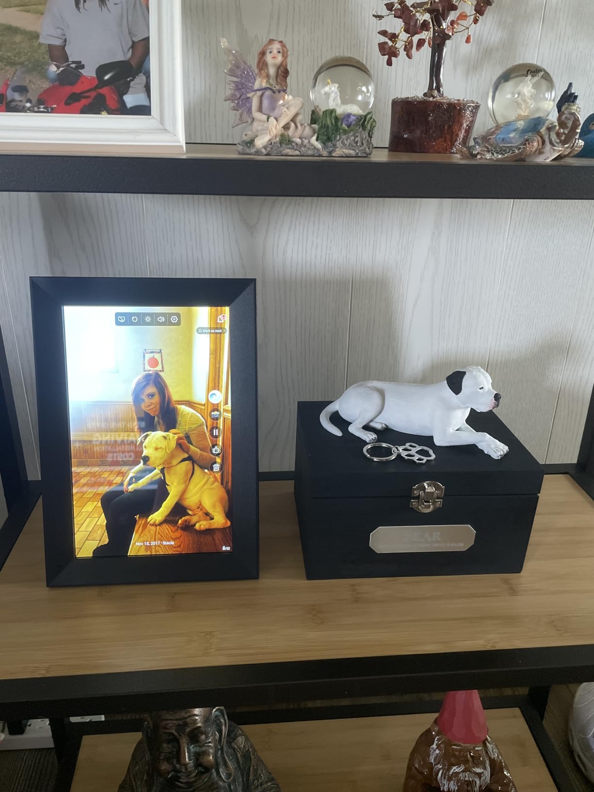 Cozyla Frame: 10.1