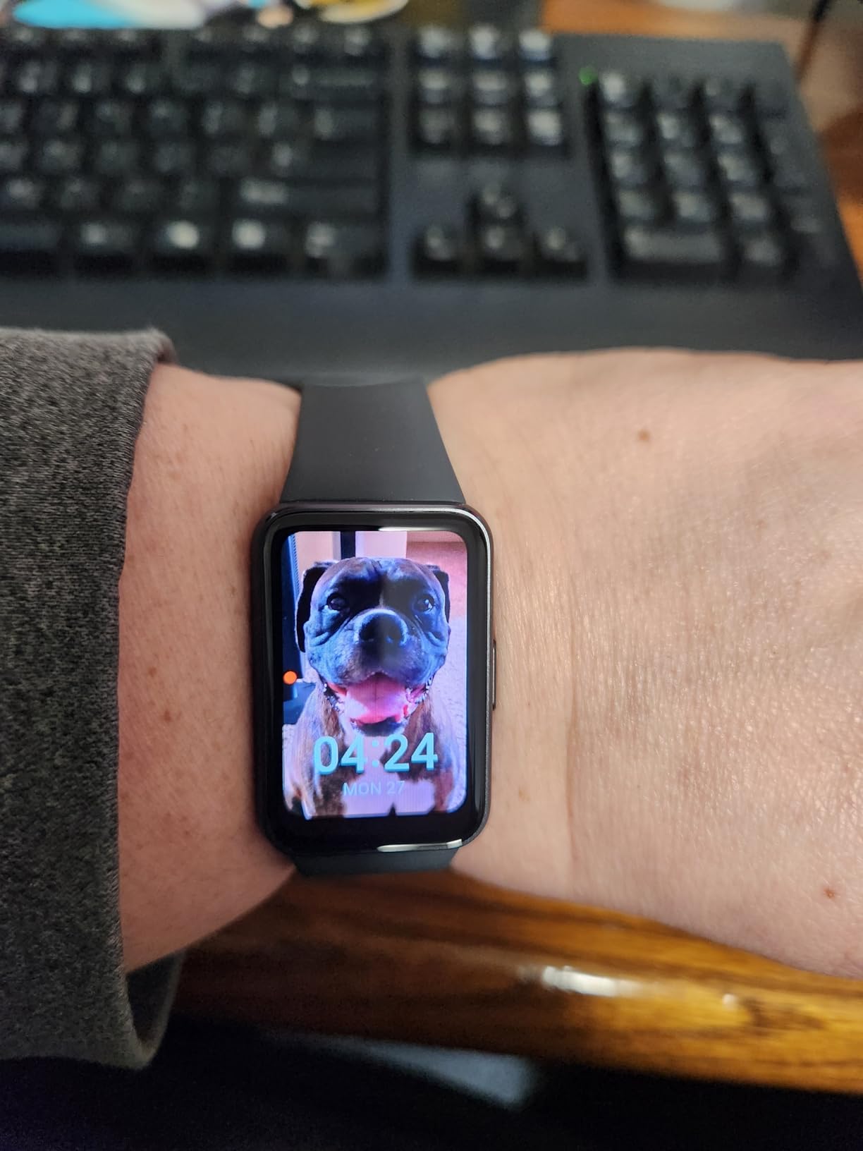 Galaxy FIT 3 [2024] 1.6