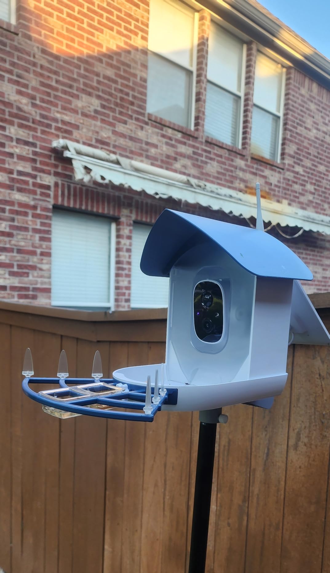 Bird Feeder with Camera,AI Identify Birds Species,Smart Bird Camera with Solar Powered,Auto Record FHD Birds Video in Backyard,Instant Notifications,Ideal Gift for Family and Bird Lovers,Navy Blue customer photo 1