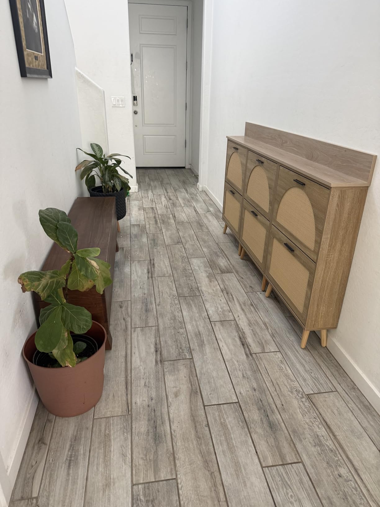 VEVOR Shoe Cabinet with 2 Flip Drawers, Shoe Storage Cabinet for Entryway, Free Standing Shoe Storage Organizer with Rattan Doors for Heels, Boots, Slippers in Hallway, Living Room customer photo 1