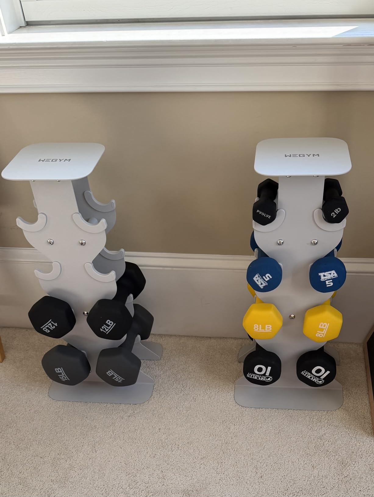 WeGym Dumbbell Racks, Space Saving Solution, Sturdy Cast Iron, Home Workout Storage, Heavy Weights Bearing, Home Strength Training customer photo 1