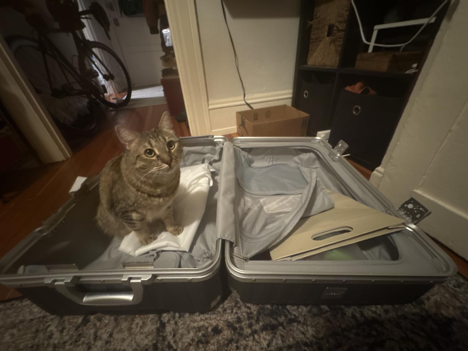 Checked Suitcase with Spinner Wheels, 8010S Aluminum Frame Zipperless Polycarbonate Hard Shell Suitcase (ZX-Core, Charcoal Metallic, 28 Inch) customer photo 1