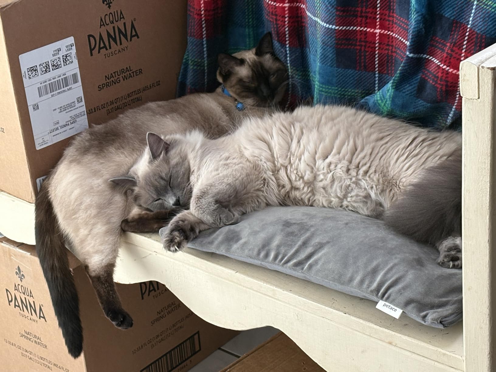 Outdoor Heated Cat Bed, Soft Pet Heating Pad with Steel-Wrapped Cord, Outside Pet Warmer for Feral Cats and Dogs, 19.7