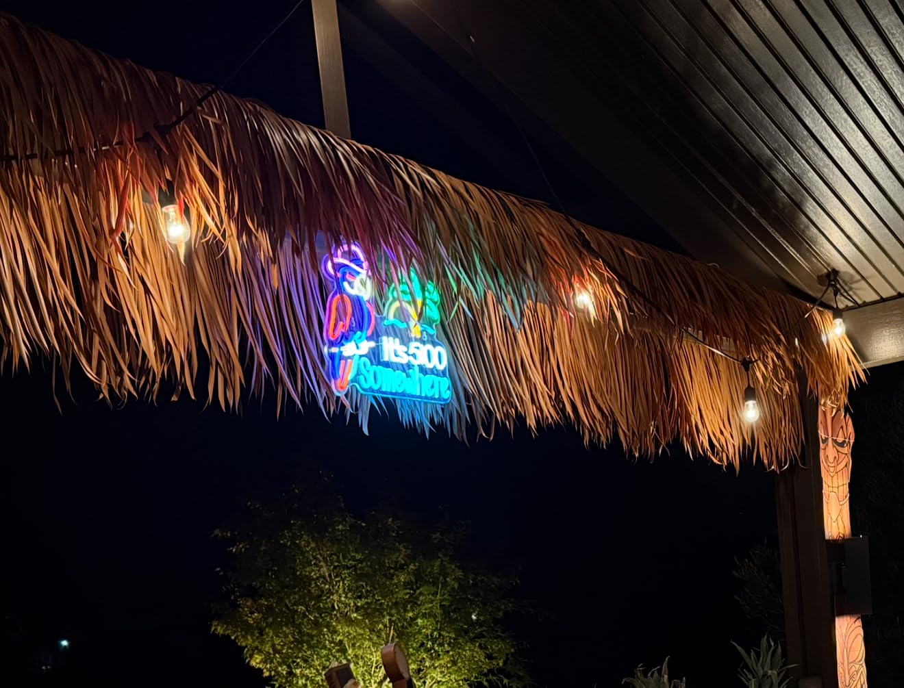 Parrot Its 5 00 O'clock Some Where Neon Sign for Wall Decor USB Powered Five Oclock Dimmable Bar Beer LED Light Man Cave customer photo 2