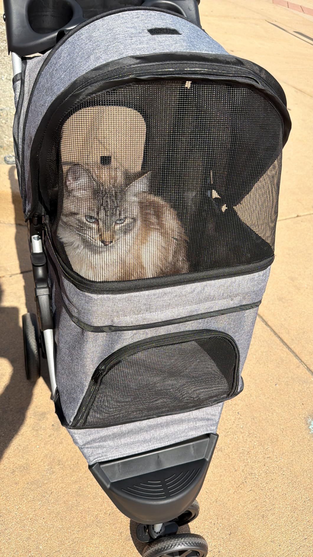 Magshion 3-Wheel Pet Stroller, Foldable Travel Jogger for Small & Medium Dogs & Cats (Up to 33lbs), Lightweight Carrier with Breathable Mesh Cover, Cup Holder & Storage Basket, Gray customer photo 1