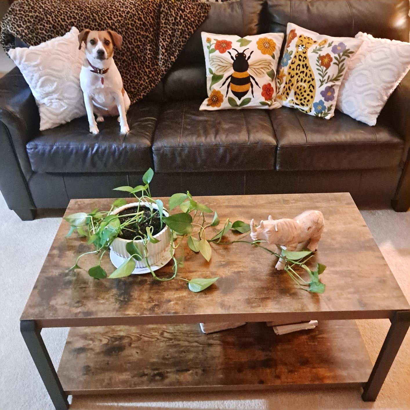 EXCEFUR Modern Coffee Table, Rustic Wood and Metal Center Table for Living Room, Industrial Rectangle Cocktail Tea Table with Storage, Oak customer photo 1