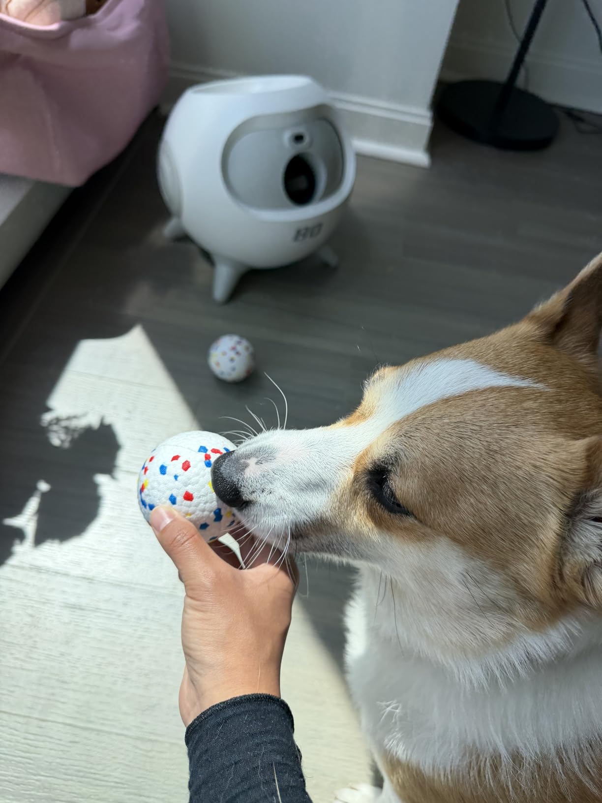 uahpet Automatic Ball Launcher for Dogs with Obstacle Detection, 20ft-80ft Adjustable Distances Ball Thrower Launcher for Medium & Large Dogs, with 4 Balls (2.5 inches) customer photo 1