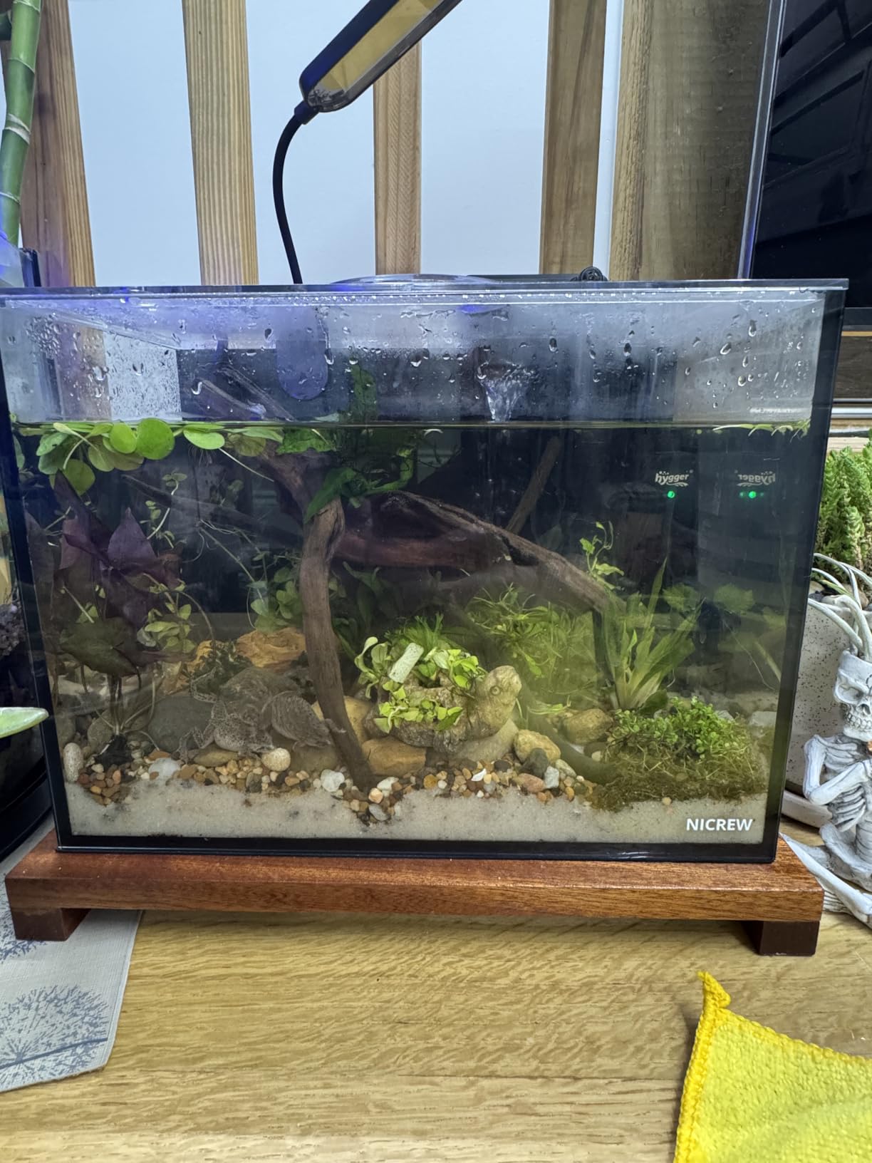 NICREW 2.5 Gallon Nano Nature Aquarium Kit, Ultra-Clear Rimless Desktop Fish Tank with Light, Filter, Gravel and Rock, Complete Version, Black customer photo 1