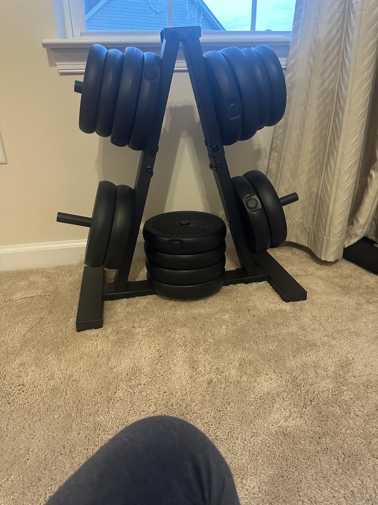 Weight Plate Rack, Weight Tree, Home Gym Storage Stand, Holds 300 lbs customer photo 1