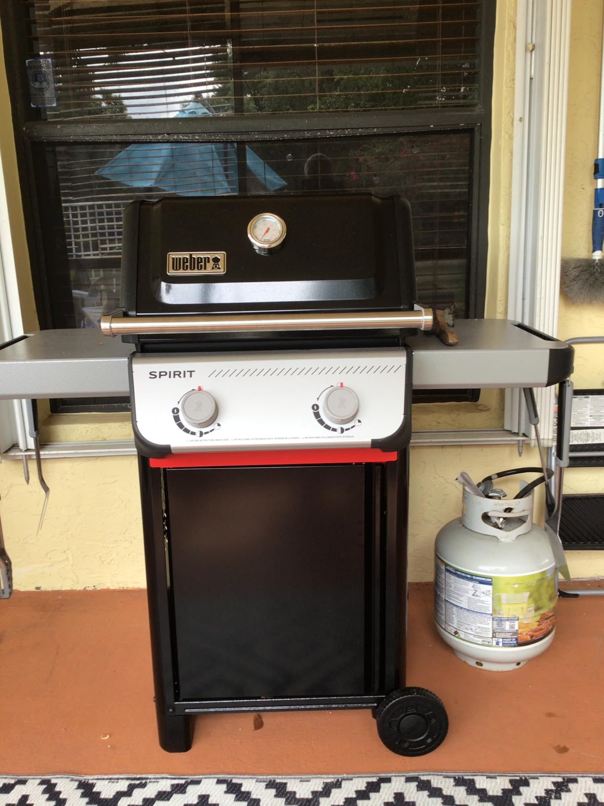 Weber Spirit E-210 Liquid Propane Gas Grill for Outdoor Cooking and BBQ, 2 Burners customer photo 2