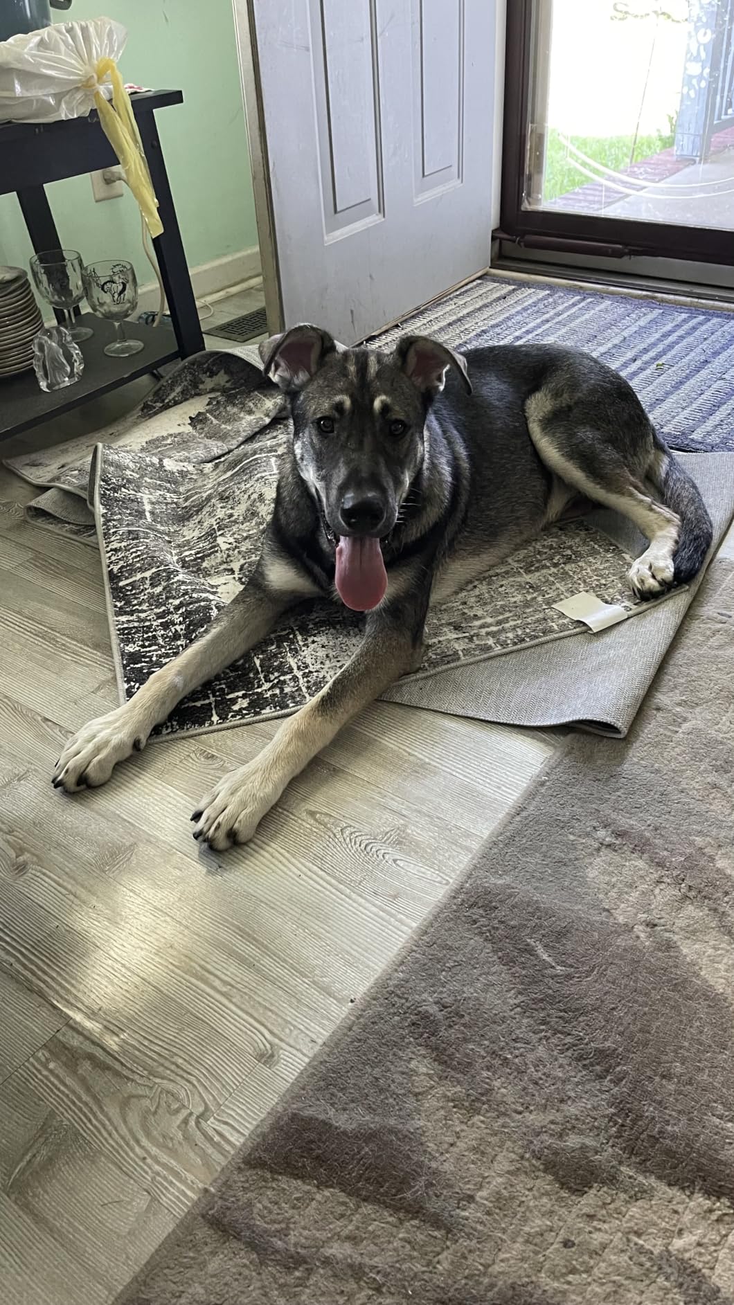 12 Best Area Rugs for Living Rooms (July 2026) Complete Guide
