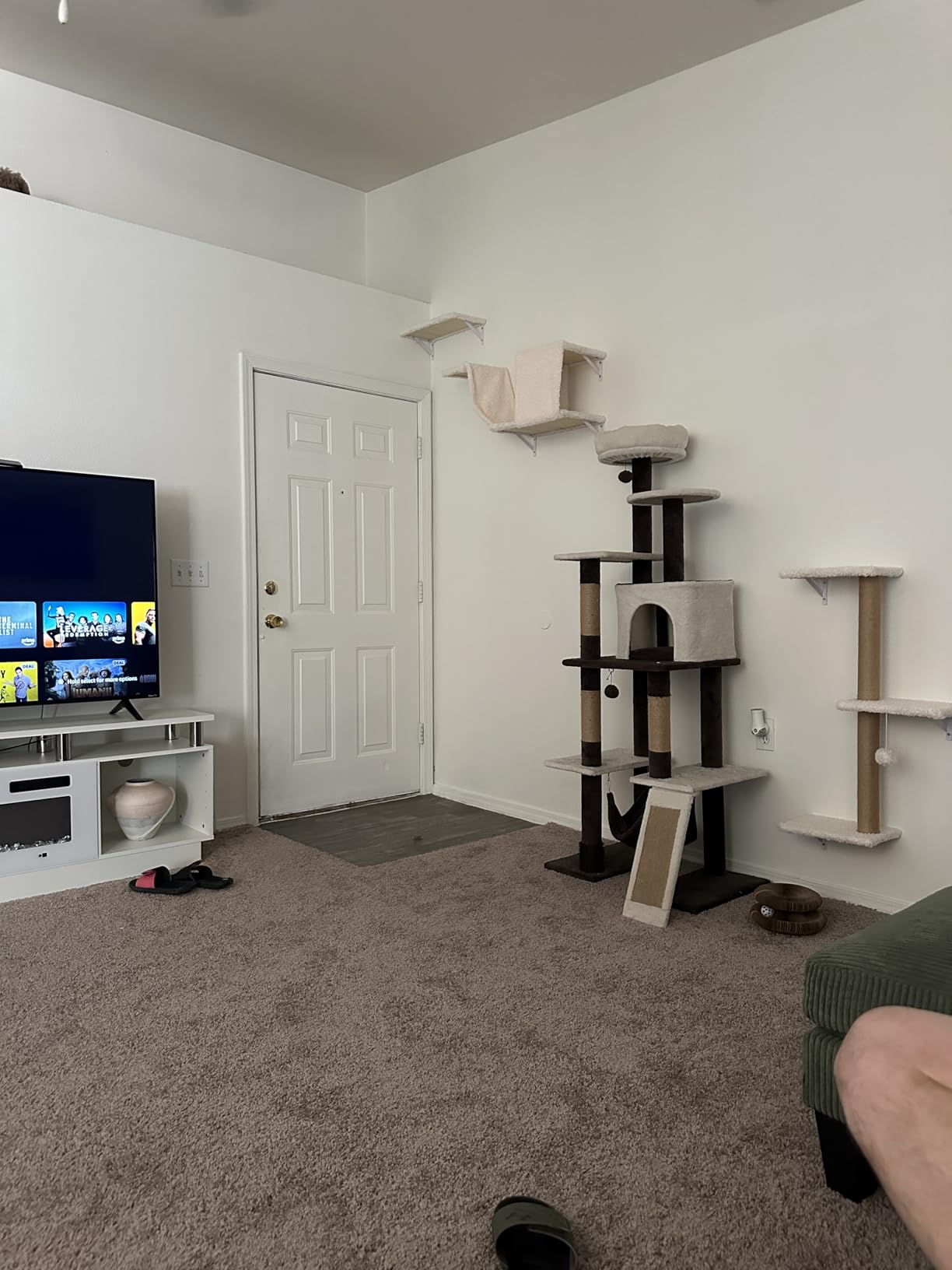 FUKUMARU Cat Wall Shelves, Stable & Safe 4 in 1 Cat Walls Furniture Set, Wooden Kitten Climbing Wall with Scratching Post for 16 Inch Drywall - Beige customer photo 1