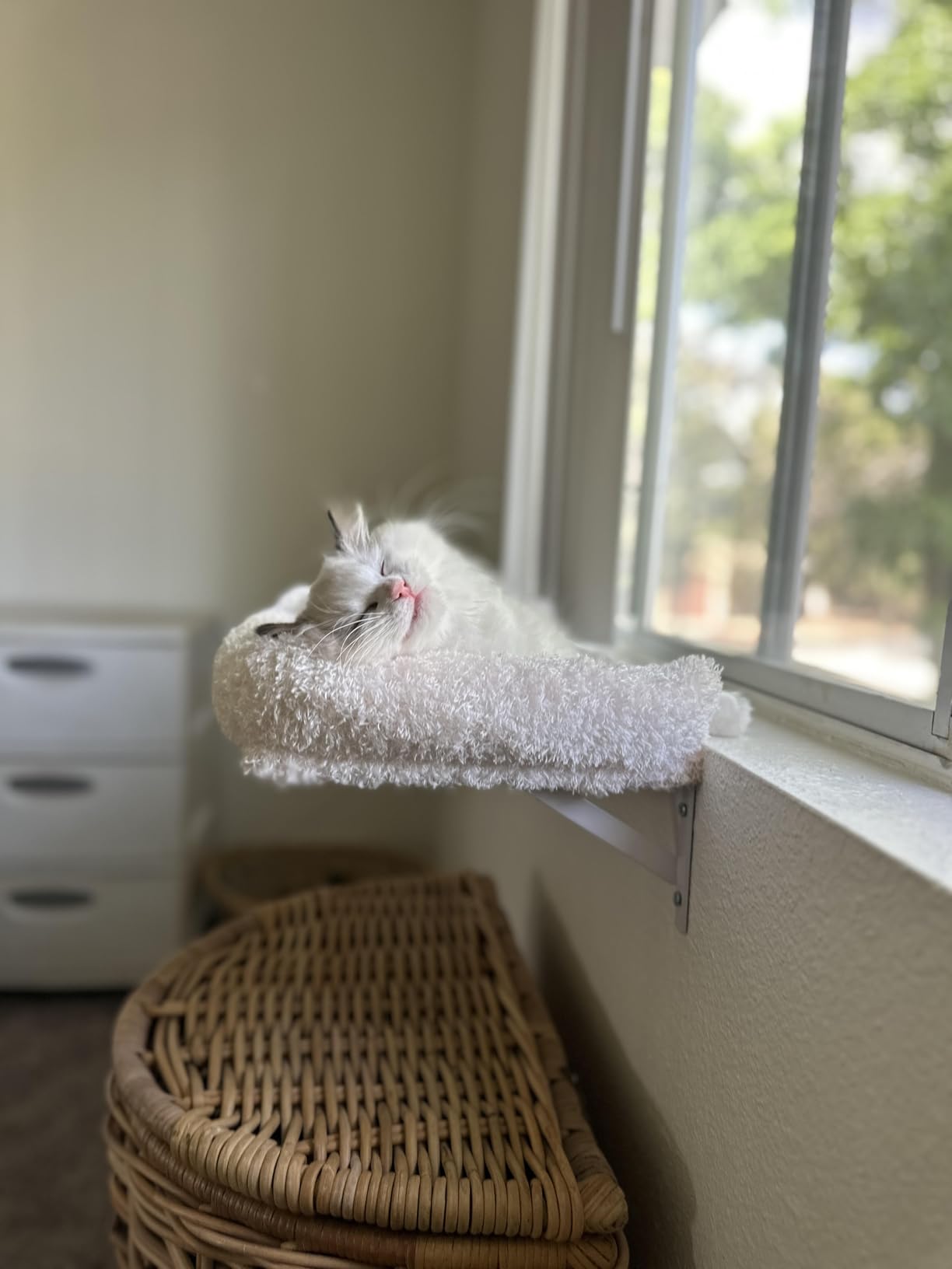FUKUMARU Cat Wall Shelves, Stable & Safe 4 in 1 Cat Walls Furniture Set, Wooden Kitten Climbing Wall with Scratching Post for 16 Inch Drywall - Beige customer photo 2