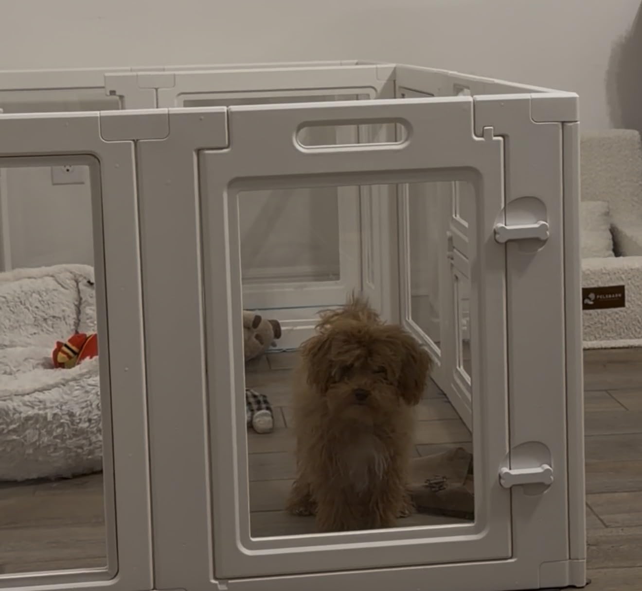 FXW AuraSpace Acrylic Indoor Dog Playpen for Puppies and Small Dogs, 24 Inch, 12 Panels, Black customer photo 2
