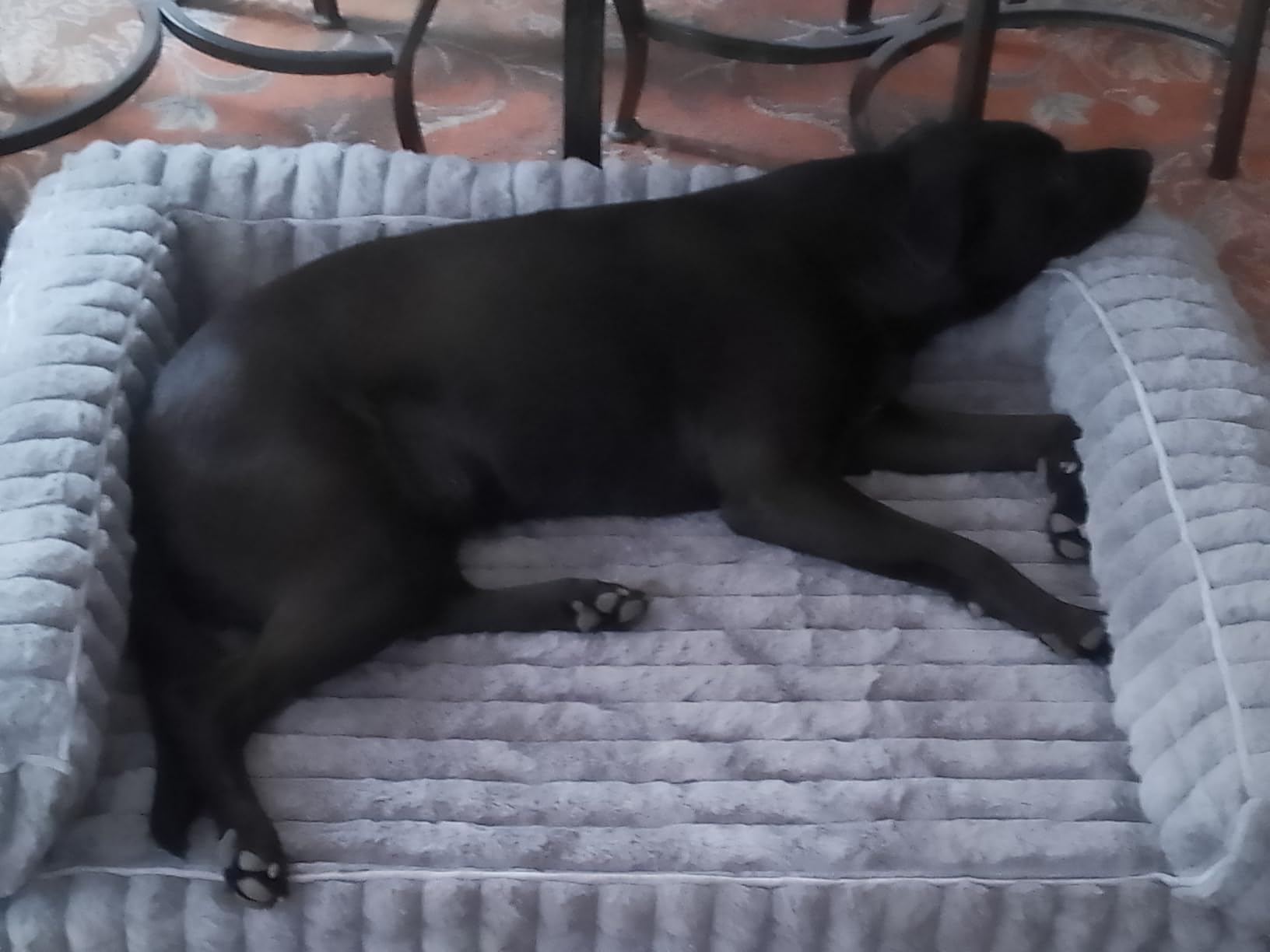 Bedsure ComfyFleece Orthopedic Dog Beds Large Sized Dog, Waterproof Memory Foam Pet Couch Sofa with Sides, Non-Slip Bottom and Egg-Crate Foam Large Pet Bed with Washable Corduroy Cover, Grey customer photo 1
