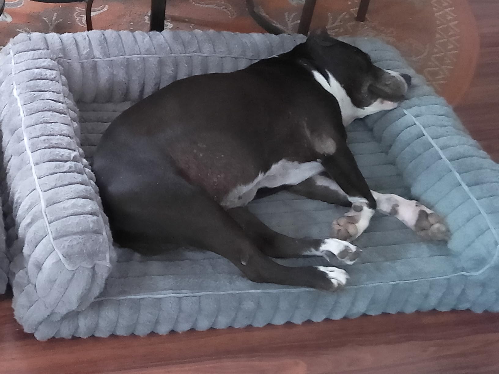 Bedsure ComfyFleece Orthopedic Dog Beds Large Sized Dog, Waterproof Memory Foam Pet Couch Sofa with Sides, Non-Slip Bottom and Egg-Crate Foam Large Pet Bed with Washable Corduroy Cover, Grey customer photo 2
