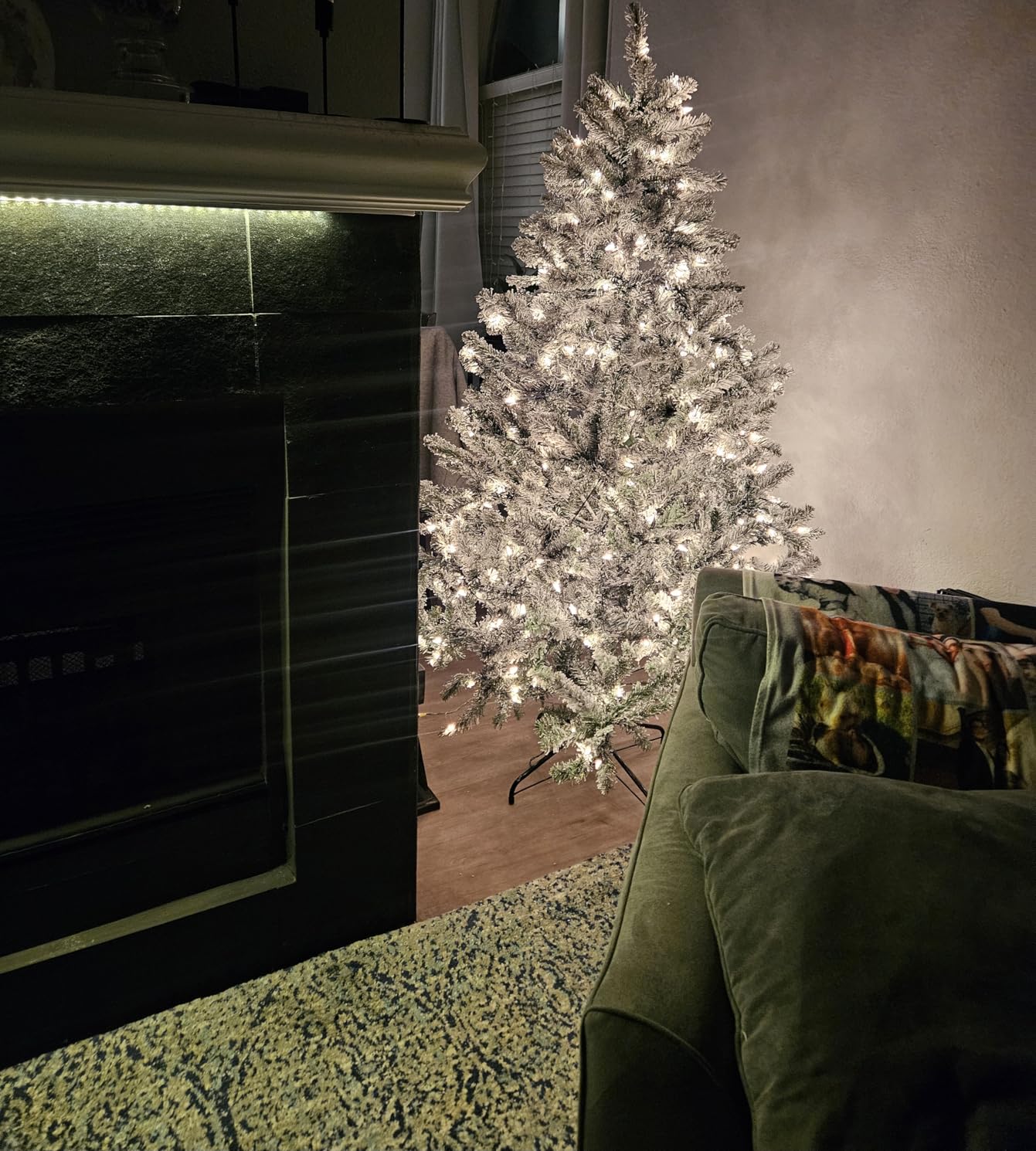National Tree Company 7.5 ft Pre-Lit Flocked Acacia Artificial Christmas Tree, 550 Clear Lights, 1,300 Branch Tips customer photo 1
