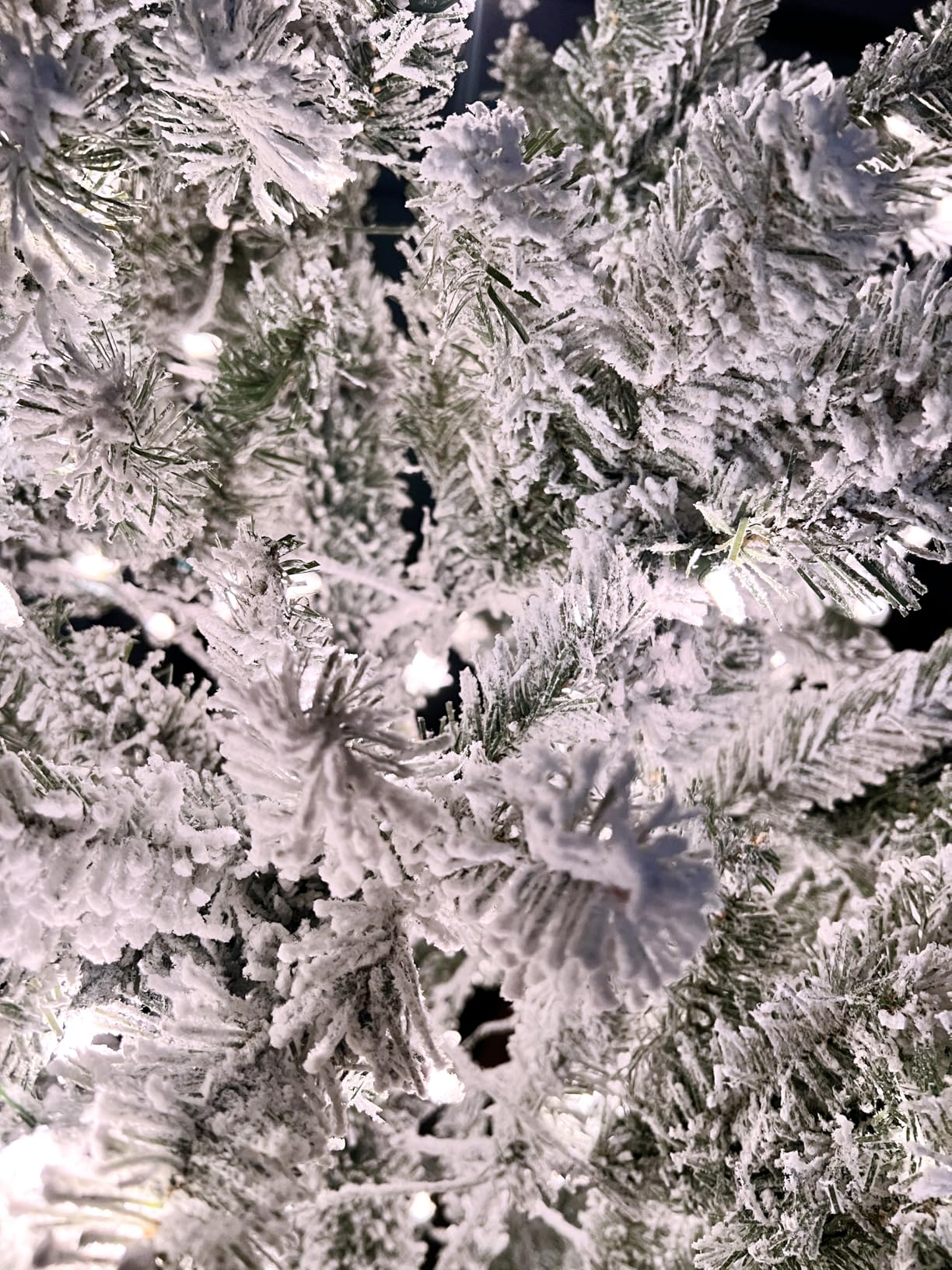 National Tree Company 7.5 ft Pre-Lit Flocked Acacia Artificial Christmas Tree, 550 Clear Lights, 1,300 Branch Tips customer photo 2