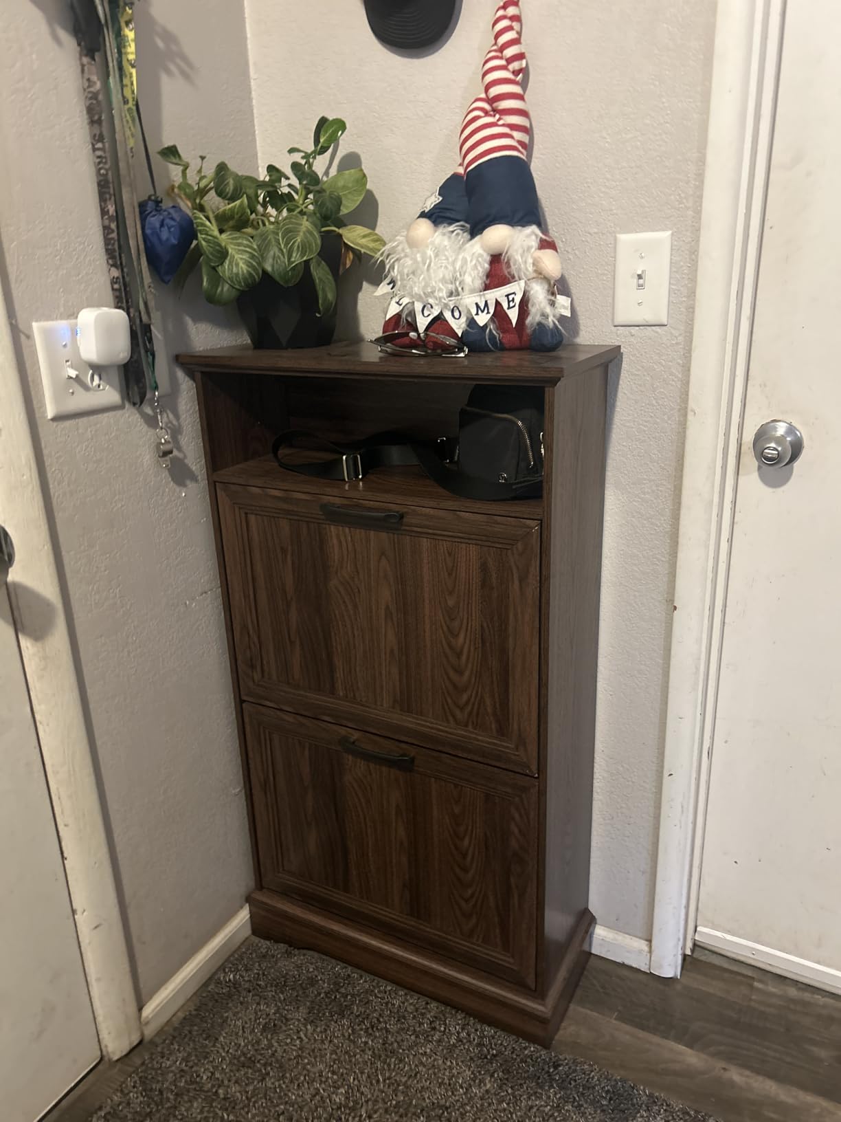 Shoe Storage Cabinet with 2 Flip Drawers, 24