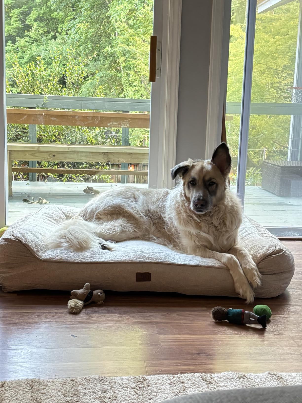 Bedsure SupportMax XL Orthopedic Dog Beds Large Sized Dog - Extra Thick Supportive Dogs Couch with Waterproof Washable Cover, Extra Large Comfort Pet Sofa with Soft Sherpa & Nonskid Bottom, Grey, 42