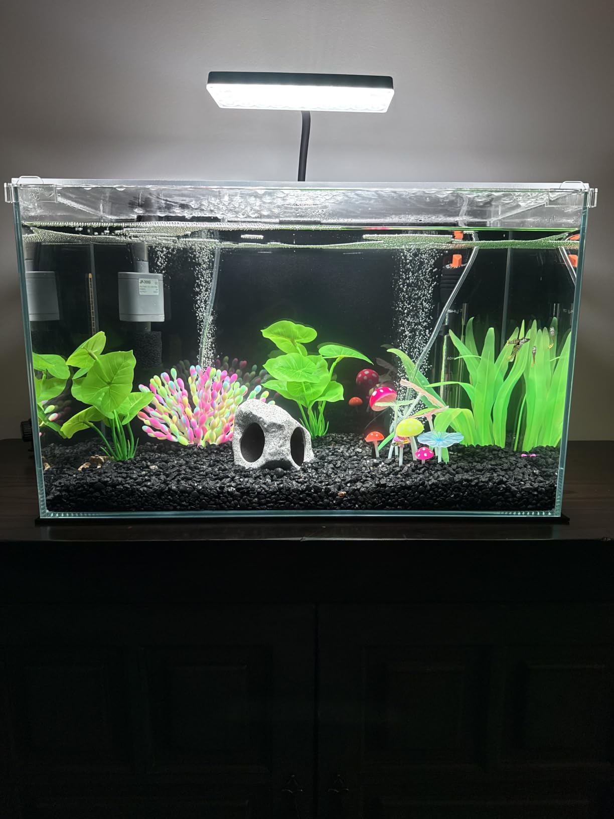 Vimvins 5 Gallon Glass Small Fish Tank with Filter Light and Lid, Betta Aquarium Starter Kits customer photo 2