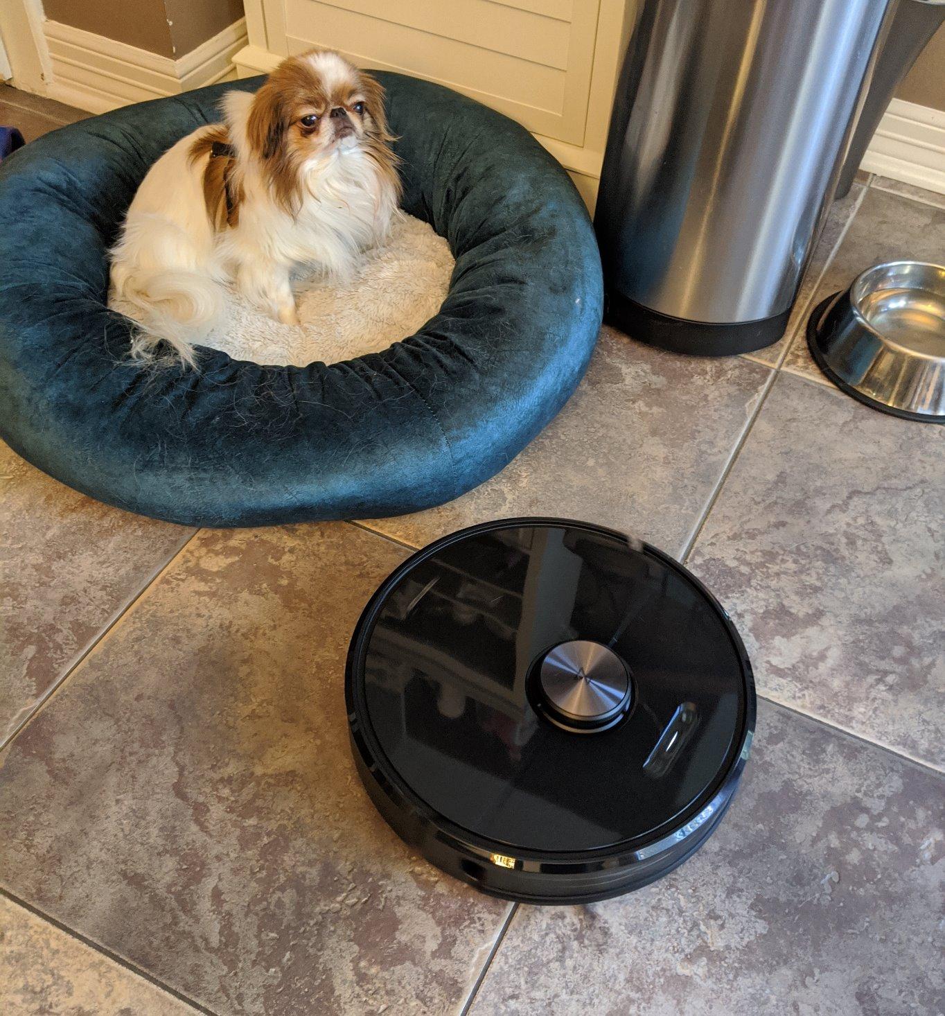 roborock Q7 L5 Robot Vacuum and Mop Combo, 8,000Pa Suction, Upgraded from Q5 Pro, Dual Anti-Tangle System, LiDAR Navigation, Multi-Level Mapping, Self-Charging Robotic Vacuum Cleaner, Black customer photo 2