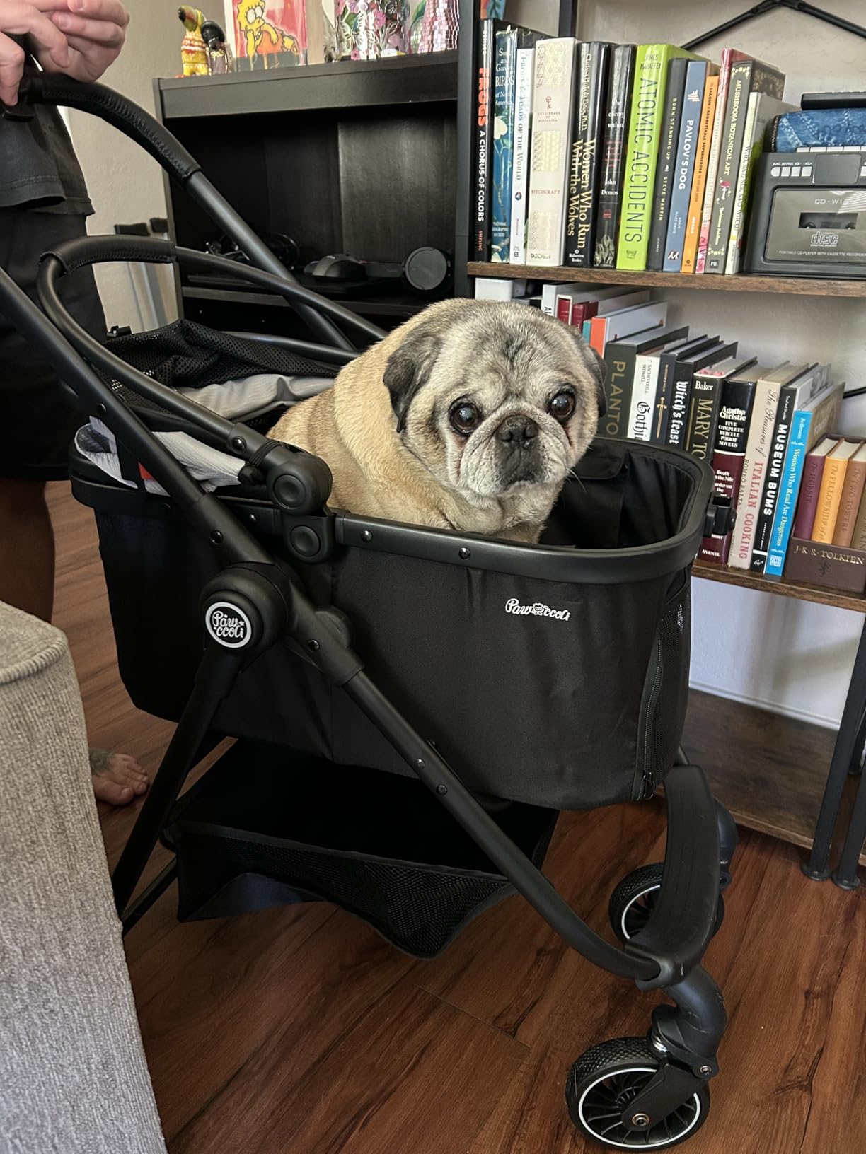 Pet Stroller for Small Dogs and Cats, One-Click Foldable Dog Stroller with Detachable Carrier & 3 Safety Tethers, Holds up to 33 lbs, Storage Basket & Cup Holder, Breathable Mesh, Black customer photo 2