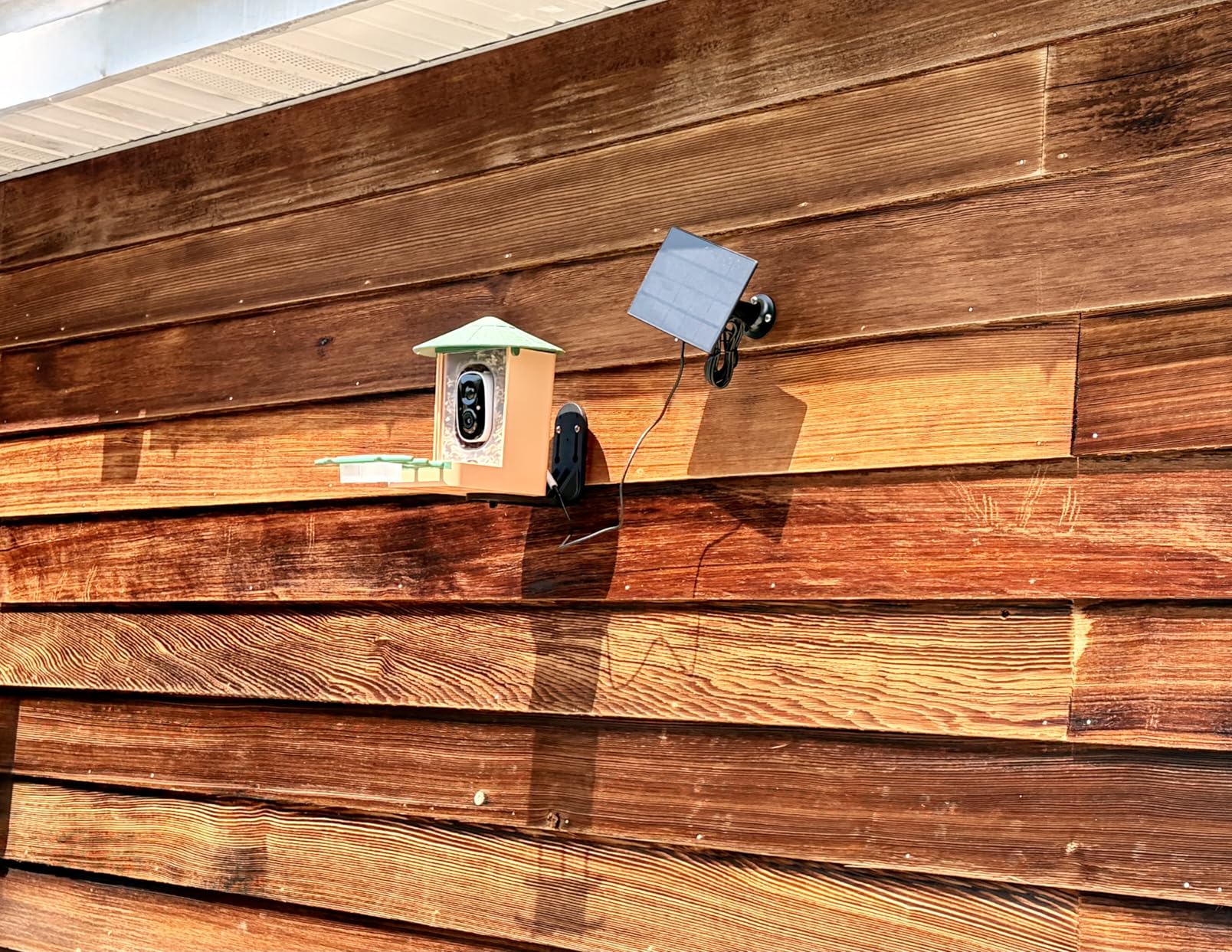 Smart Bird Feeder with Camera with AI Identify Birds Species & Solar Panel, WiFi Birdfeeder with Cam, 2K Live View, Chew-Proof & Waterproof Design, Real-Time App Alerts, Gift for Bird Lovers, Green customer photo 2