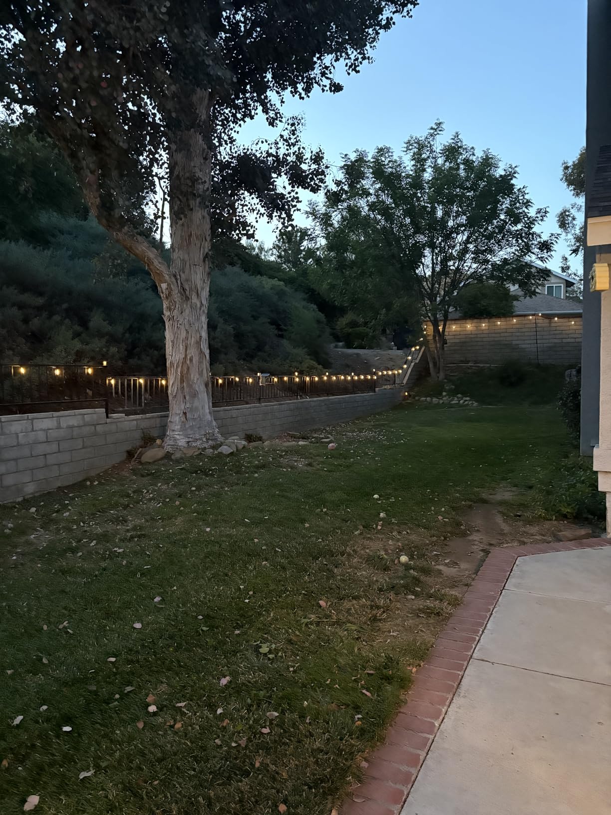 Brightown 100FT Solar String Lights Outdoor Waterproof with Remote, 31+2 LED Shatterproof Bulbs, Dimmable & Timable, 3 Light Modes - Commercial Grade Patio Lights for Garden Backyard Party Decor customer photo 1