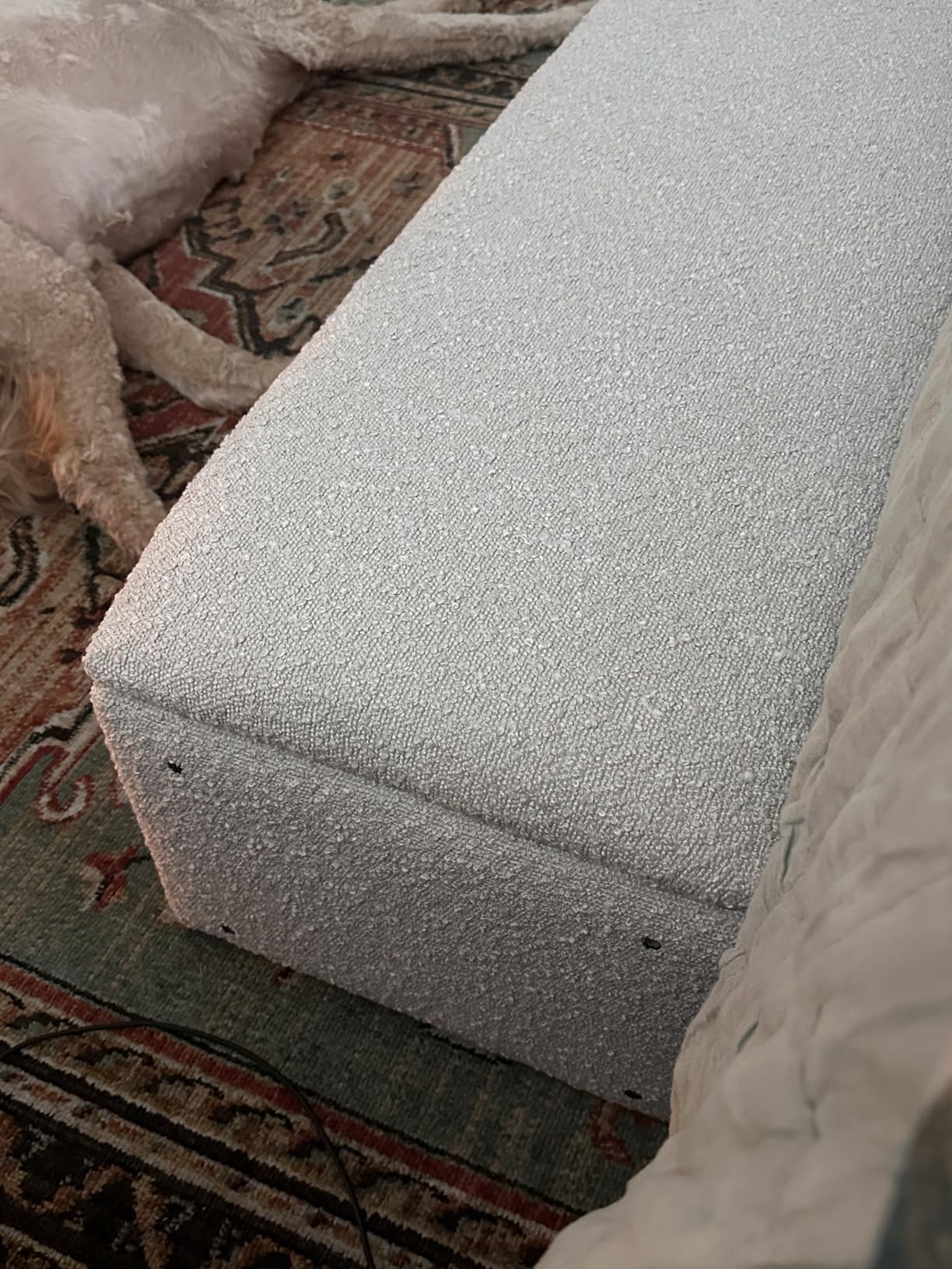 Modern Storage Benches with Walnut Wood Legs, 47'' Ottoman Bench with 20 Gallons Storage Space for Bedroom End of Bed, Fabric Upholstered Entryway Bench with Seating for Livingroom, Beige customer photo 2