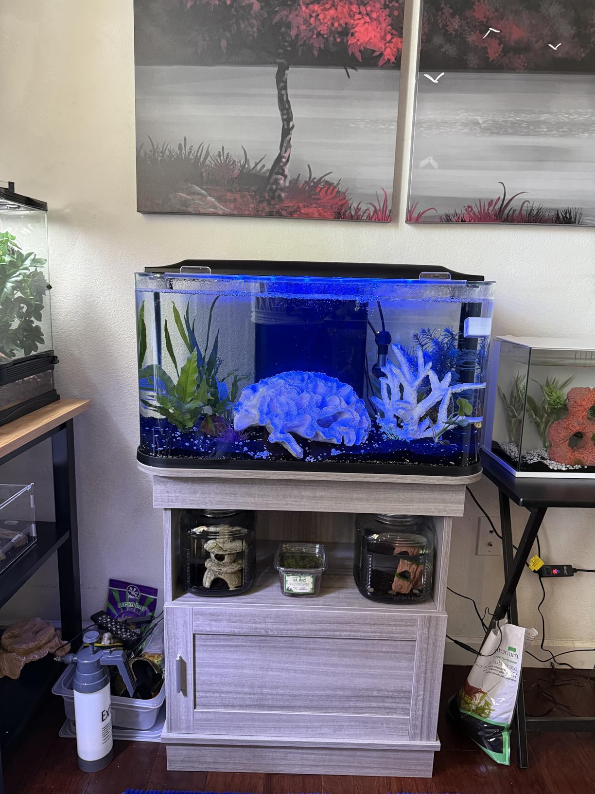 GloFish Glass Aquarium Kit, 20 Gallons, Includes Premium Blue LED Light Stick and Integrated Filtration, Perfect for Beginners or Seasoned Hobbyists, Seamless, Curved Design customer photo 1