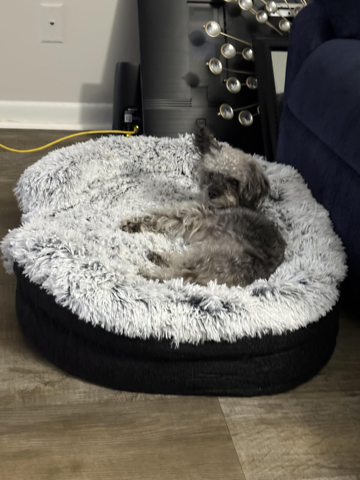 Fluffy Orthopedic Dog Bed for Large & Extra Large Dogs, Calming Plush Sofa Bed with Curved Bolster Support and Egg-Crate Foam Base, 43