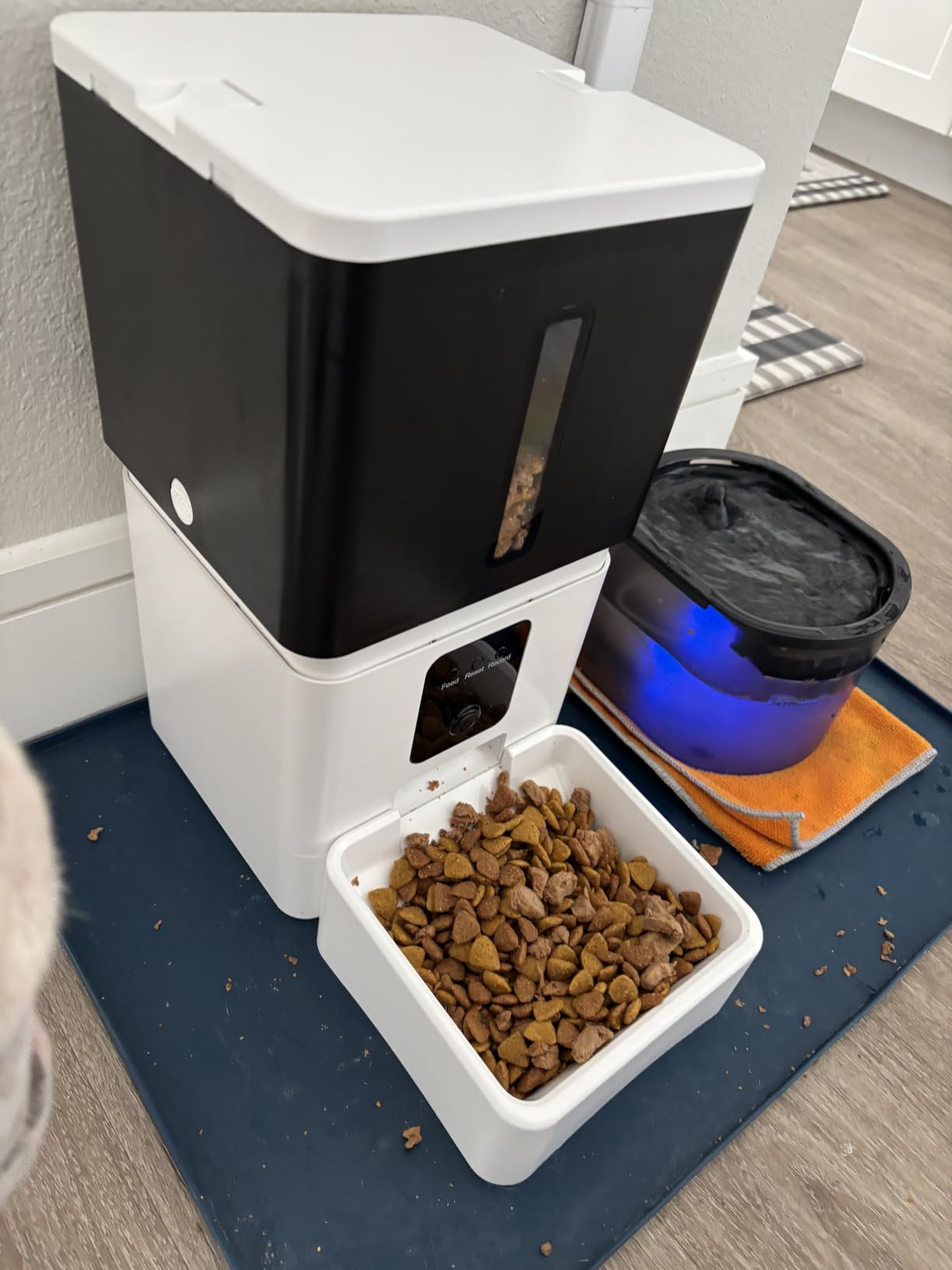 Large Breed Automatic Dog Feeder with 1080P HD Camera: 12L/50 Cups 20-Day Food Capacity for Busy Pet Owners - Anti-Clog 0.78inch Wide Outlet for Large Kibble customer photo 1