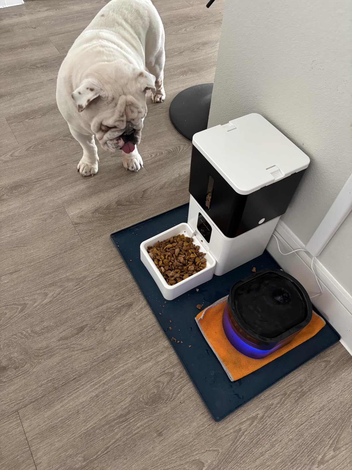 Large Breed Automatic Dog Feeder with 1080P HD Camera: 12L/50 Cups 20-Day Food Capacity for Busy Pet Owners - Anti-Clog 0.78inch Wide Outlet for Large Kibble customer photo 2